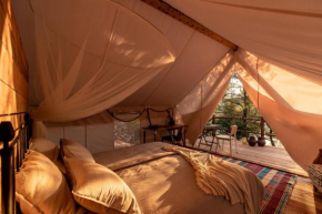 Plage Cachée - Glamping